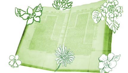Talmud pages